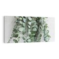 Obraz na płótnie 100x50 - Uwodzicielska zieleń eukaliptusa - eukaliptus, zielone
