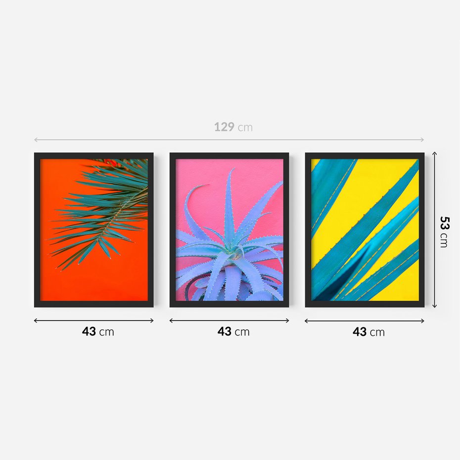 Zestaw obrazy w ramie 40x50 galeria - Liście, rośliny, aloes, neonowe - rama czarna