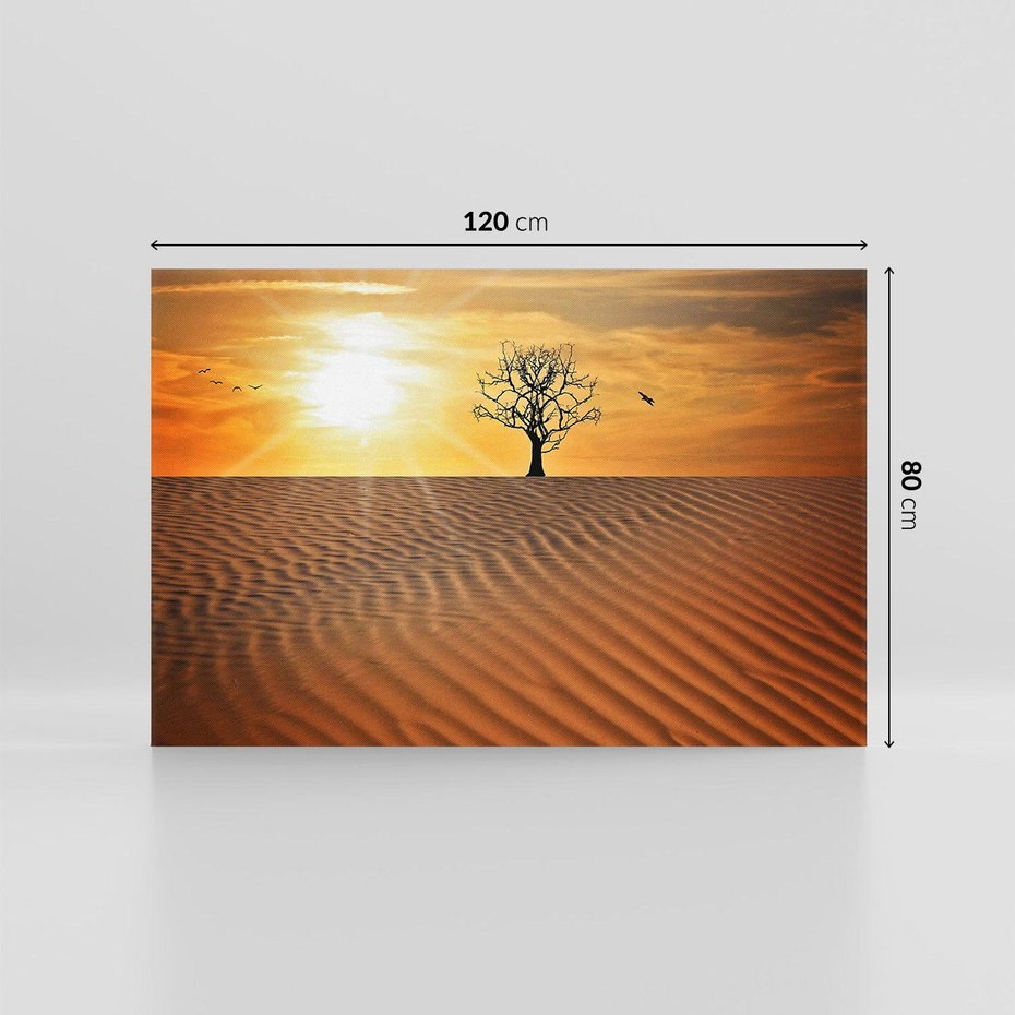 Obraz na płótnie 120x80 - Pustynia - Drzewo i słońce - pustynia, drzewo