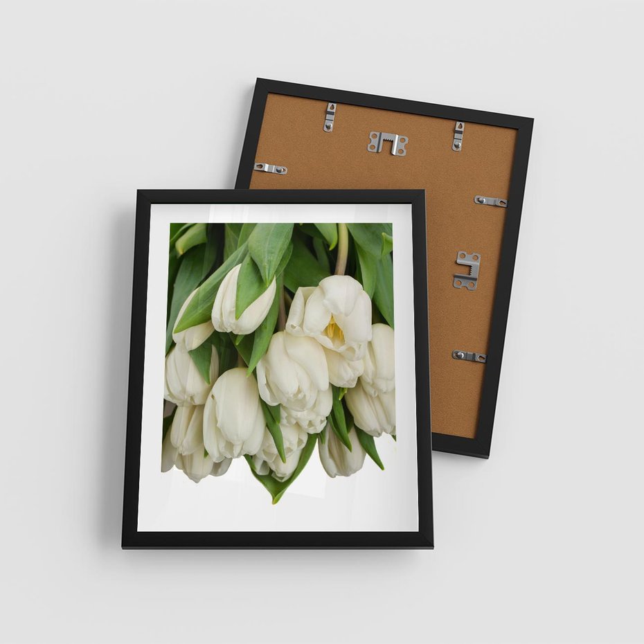 Plakat w ramie 40x50 - Białe tulipany w pełnym rozkwicie - białe, tulipany - rama czarna