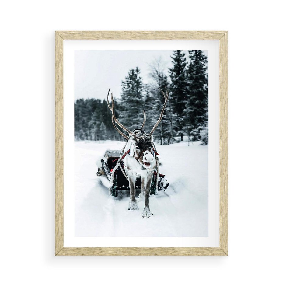 Plakat w ramie 50x70 - Świąteczna Przygoda - renifer, śnieg - rama drewno