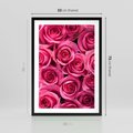 Plakat w ramie 50x70 - Romantyczne róże w pełnym rozkwicie - róże, kwiaty - rama czarna