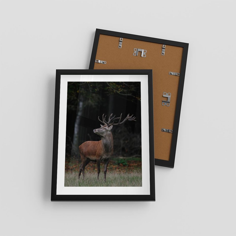 Plakat w ramie 30x40 - Spotkanie z naturą - jeleń, las - rama czarna