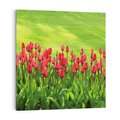 Obraz na płótnie 60x60 - Tulipanowy raj - kwiat, kwiaty