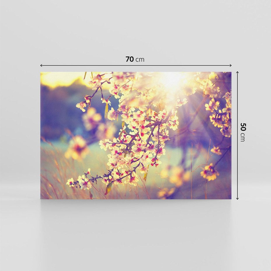 Obraz na płótnie 70x50 - Kwiatowa Wiosna - kwiaty, wiosna