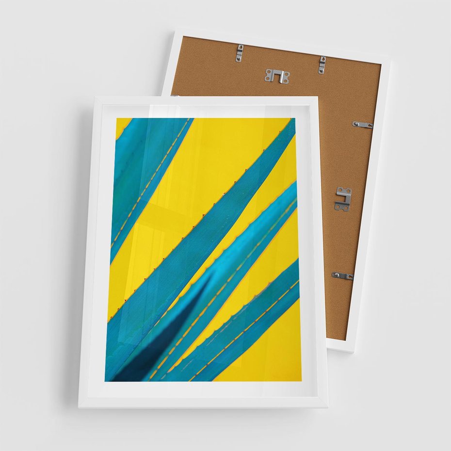 Plakat w ramie 50x70 - Świeżość Natury - aloes, liście - rama biała