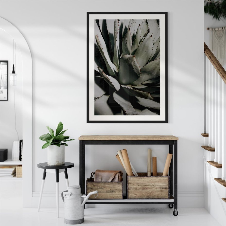 Plakat bez ramy 21x30 - Egzotyczny Raj - sukulenty, kaktusy