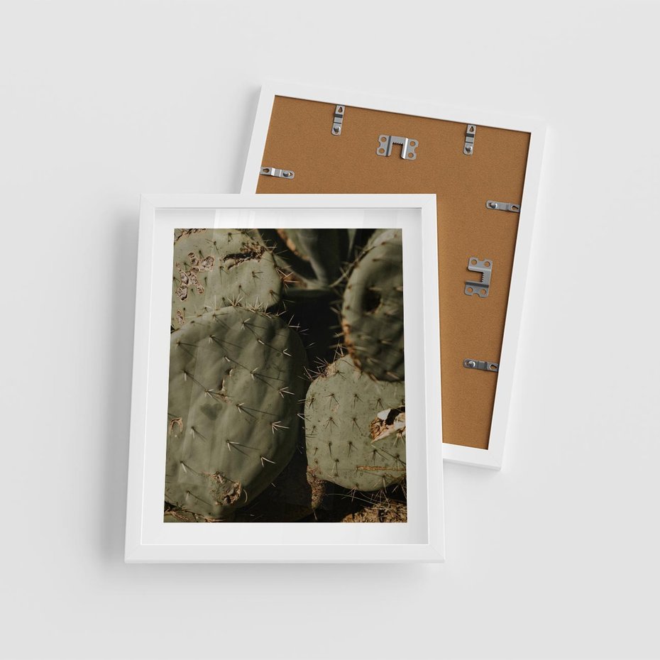 Plakat w ramie 40x50 - Urok Egzotyki - kaktusy, boho - rama biała