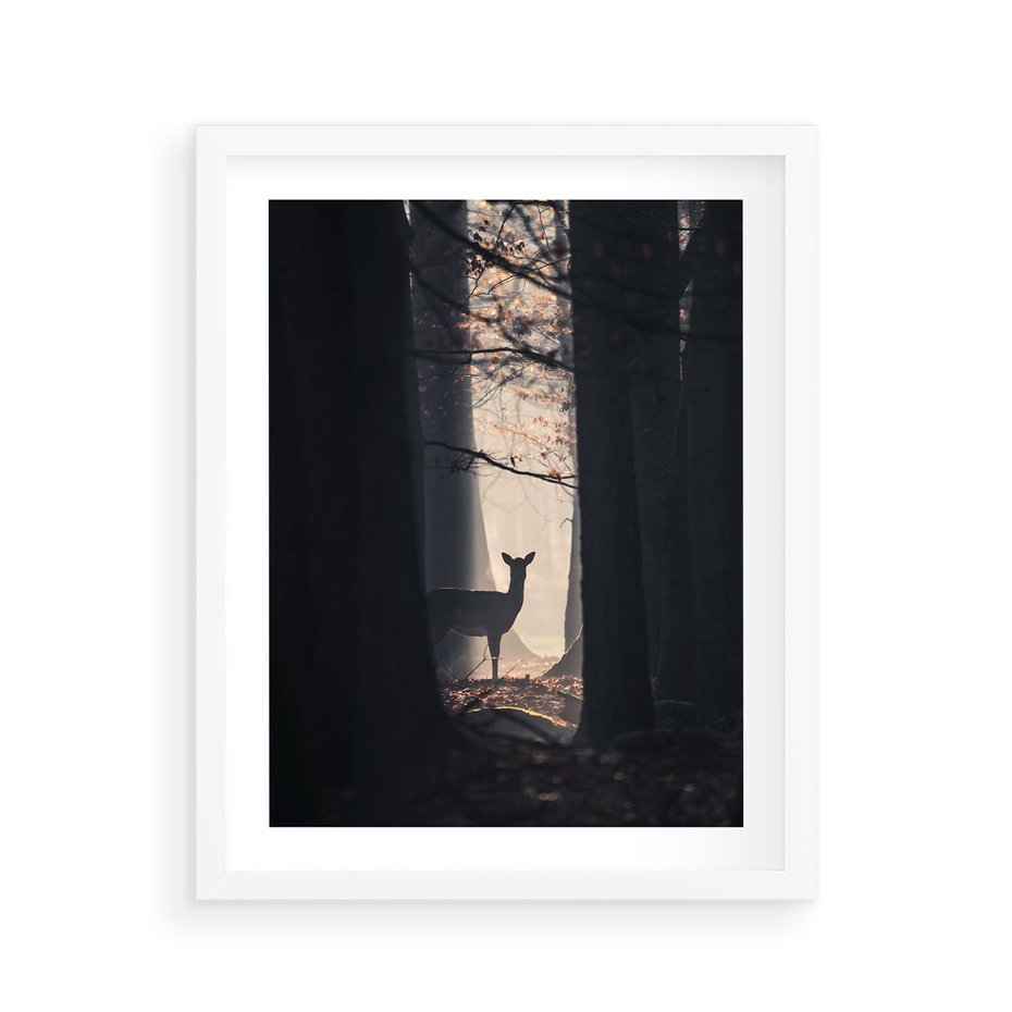 Plakat w ramie 40x50 - Sarnie Skoki - zdjęcie, klimatyczny las - rama biała