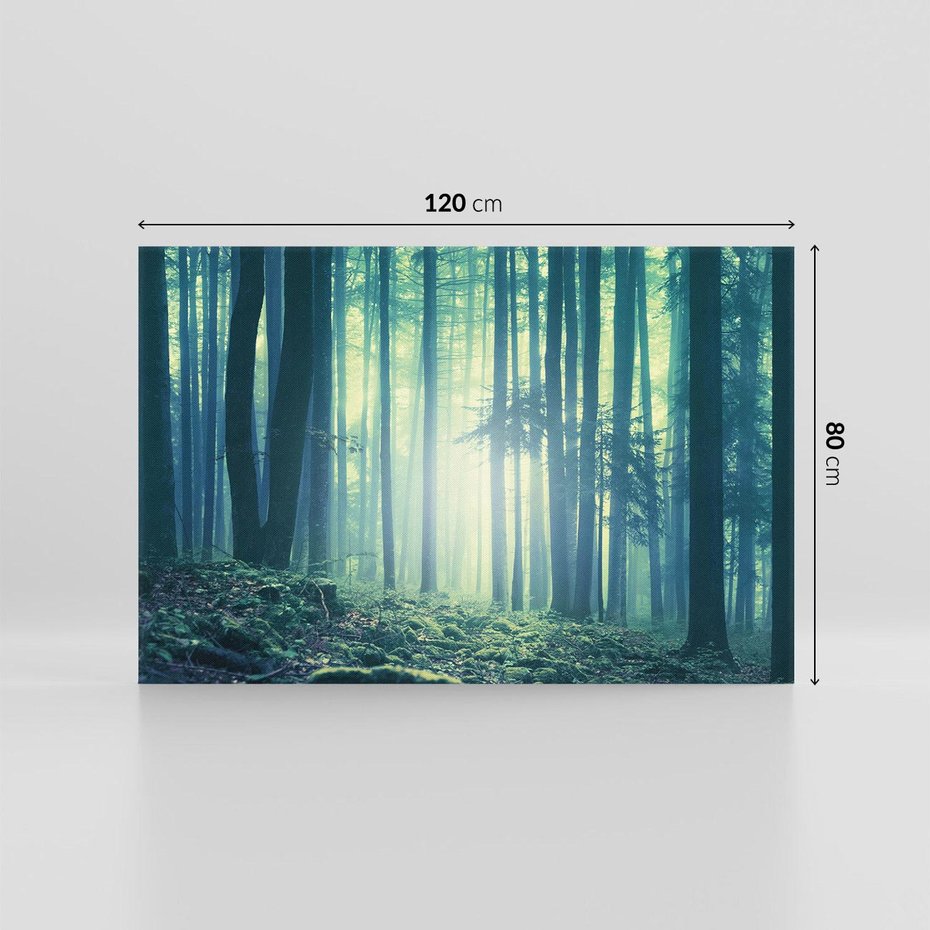 Obraz na płótnie 120x80 - Mistyczny las w mgle - las, mgła
