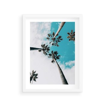 Plakat w ramie 50x70 - Palmy w Gorącym Niebie - palmy, ujęcie z dołu - rama biała