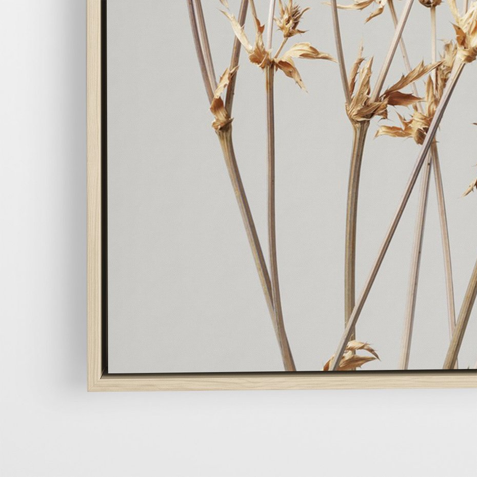 Obraz w ramie 50x70 - Delikatne gipsówki - gipsówka, suche - rama drewno