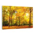 Obraz na płótnie 120x80 - Urok jesiennego lasu - las, drzewa