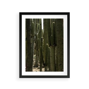 Plakat w ramie 30x40 - Wyjątkowy Klimat Boho - kaktusy, pustynia - rama czarna