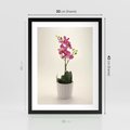 Plakat w ramie 30x40 - Delikatność storczyka orchidei - storczyk, orchidea - rama czarna