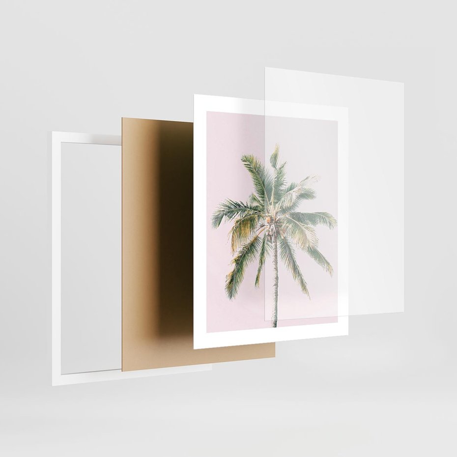 Plakat w ramie 40x50 - Błogość Tropików - palma, tropiki - rama biała