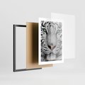 Plakat w ramie 30x40 - Magia Białego Tygrysa - biały, tygrys - rama czarna