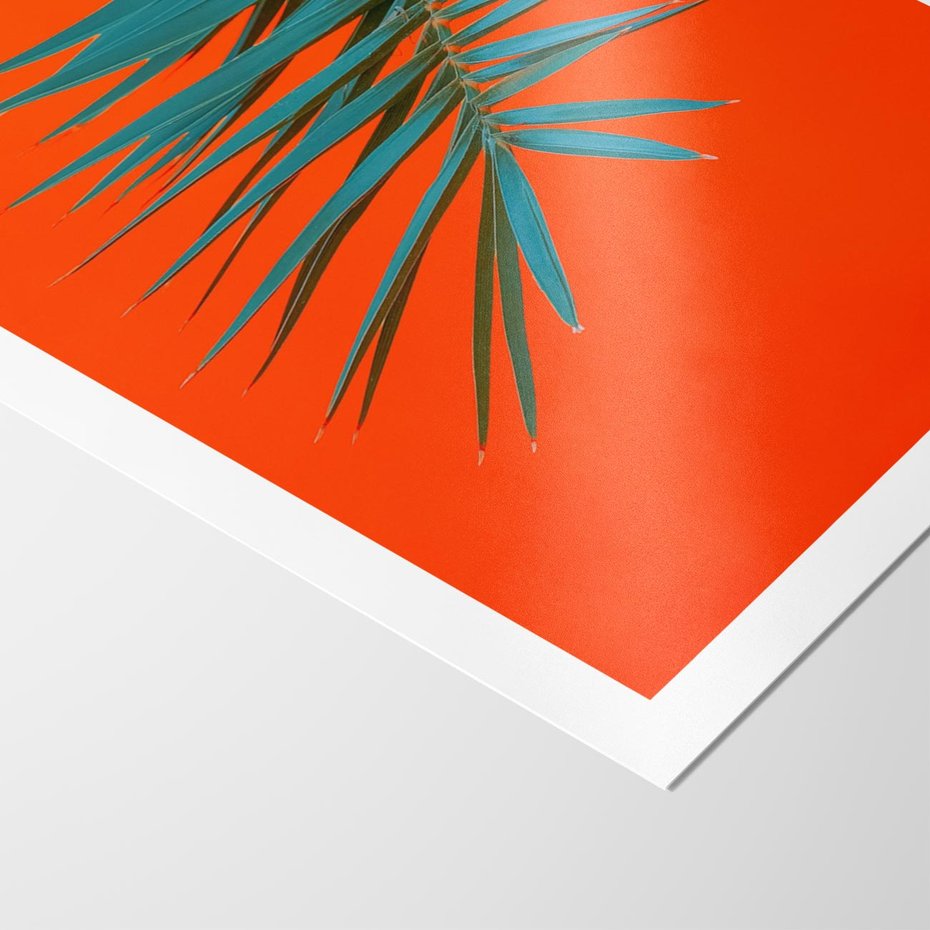 Plakat bez ramy 40x50 - Egzotyczny Urok - liście, palma