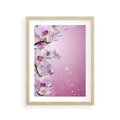 Plakat w ramie 30x40 - Relaksujące Piękno - kwiaty, orchidea - rama drewno