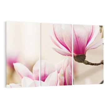 Obraz na płótnie 120x80 - Urok Magnolii - magnolie, kwiaty