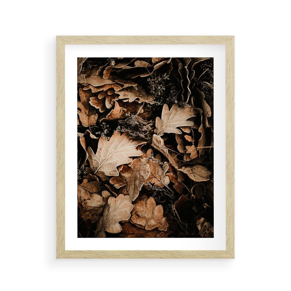 Plakat w ramie 40x50 - Jesienna Melodia: Liście i Szyszki - suche liście, szyszki - rama drewno