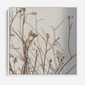 Obraz w ramie 50x50 - Boho gałązki suche - gałązki, suche - rama biała
