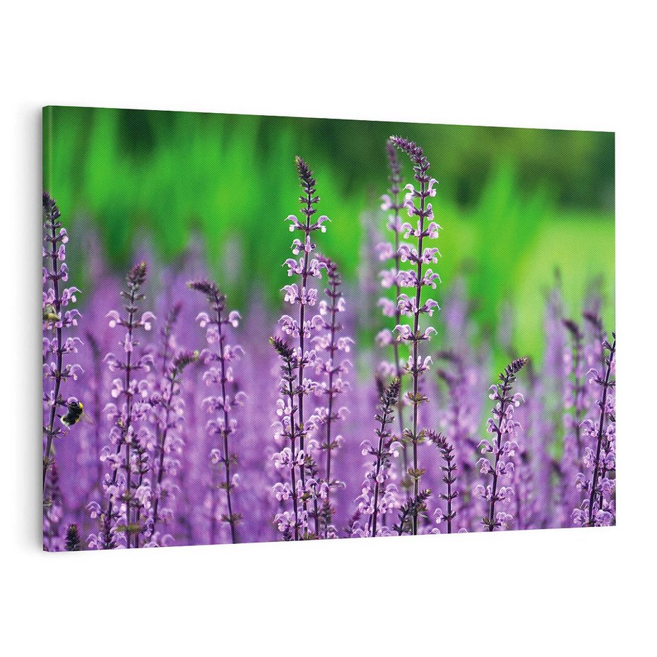 Obraz na płótnie 120x80 - Lawendowy urok - lawenda, kwiaty