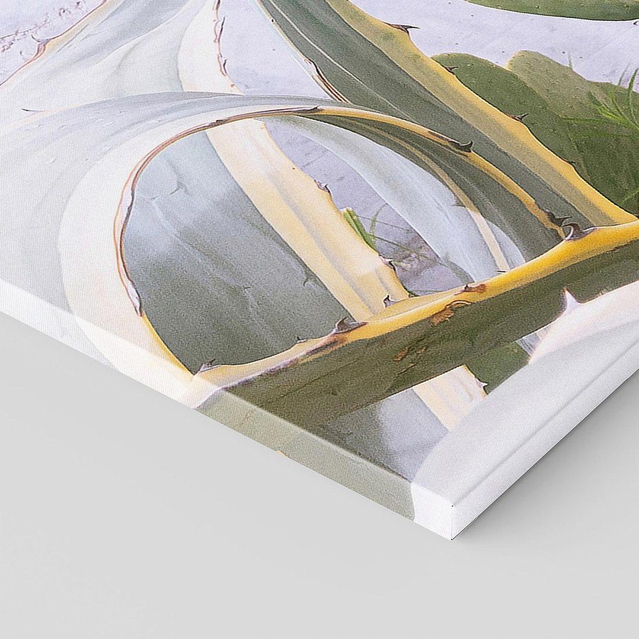 Obraz na płótnie 120x60 - Sukulentowe liście - liście, sukulenty