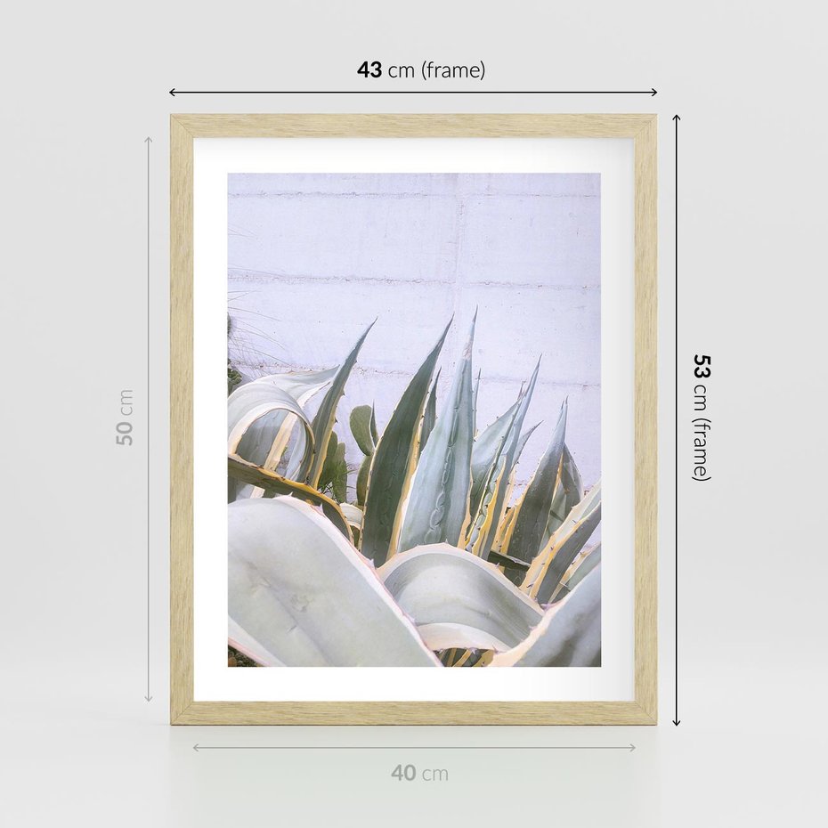 Plakat w ramie 40x50 - Sukulentowe liście - liście, sukulenty - rama drewno