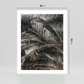 Plakat bez ramy 40x50 - Liściaste Palmy - palmy, drzewa palmowe