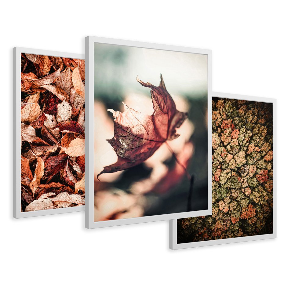 Zestaw obrazy w ramie 40x50 galeria - Jesienny, las, liście - rama biała