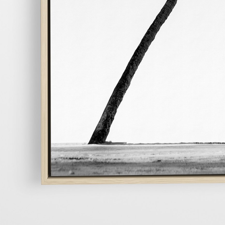 Obraz w ramie 50x70 - Samotne Palmy - czarno biała fotografia, dwie samotne palmy - rama drewno