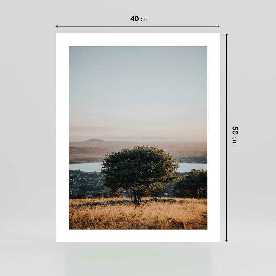 Plakat bez ramy 40x50 - Siła Natury - drzewo, pejzaż