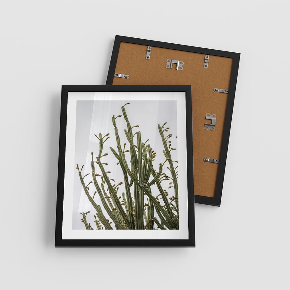 Plakat w ramie 40x50 - Ekskluzywna Roślinność - kaktusy, liście - rama czarna