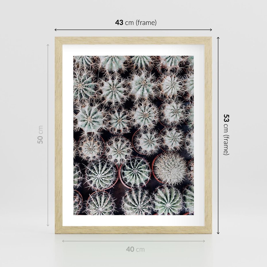 Plakat w ramie 40x50 - Wzór Kaktusów - kaktusy w doniczkach, ujęcie z góry - rama drewno