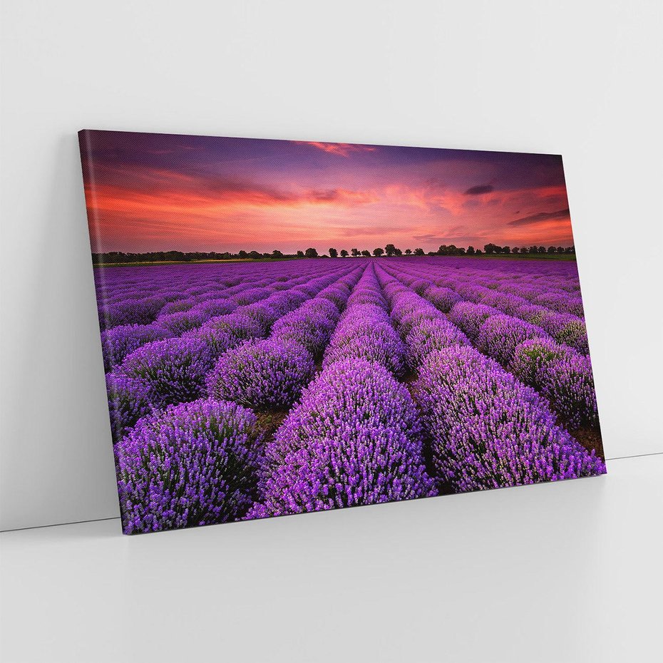 Obraz na płótnie 120x80 - Lawenda: polne zauroczenie - lawenda, kwiaty
