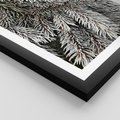 Plakat w ramie 30x40 - Cisza Zimowej Natury - zima, iglaste gałązki - rama czarna