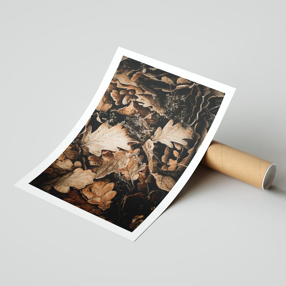 Plakat bez ramy 21x30 - Jesienna Melodia: Liście i Szyszki - suche liście, szyszki