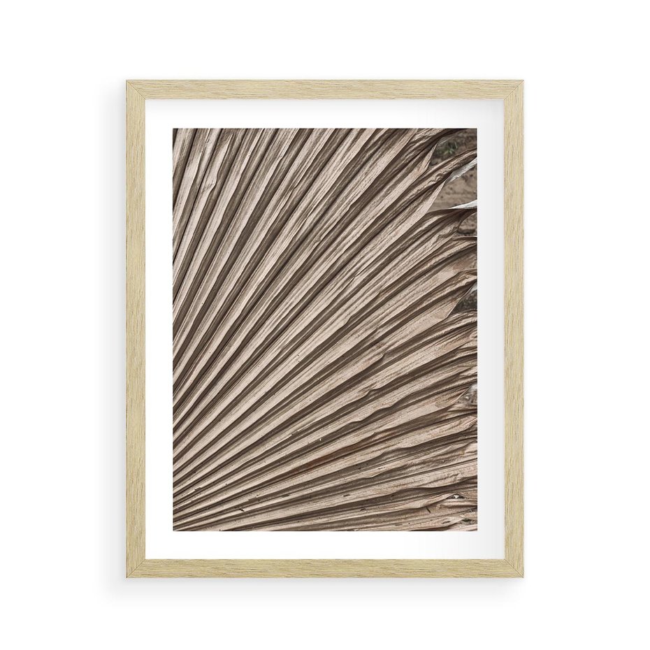 Plakat w ramie 40x50 - Liść Palmy w Wyjątkowej Kompozycji - suchy liść palmy, boho styl - rama drewno