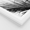 Plakat w ramie 30x40 - Sztuka Natury: Monochromatyczna Palma - palma, czarno białe zdjęcie - rama biała