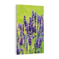 Obraz na płótnie 70x100 - Lawenda w naturze - lawenda, kwiaty