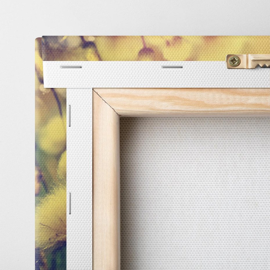 Obraz na płótnie 120x80 - Natura w pełnym rozkwicie - łąka, natura