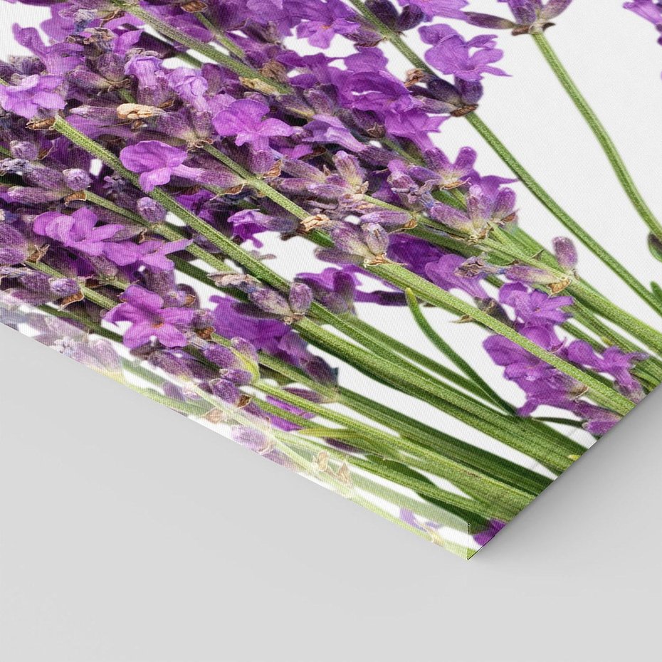 Obraz na płótnie 60x60 - Pola lawendy w pełnym rozkwicie - lawenda, kwiaty