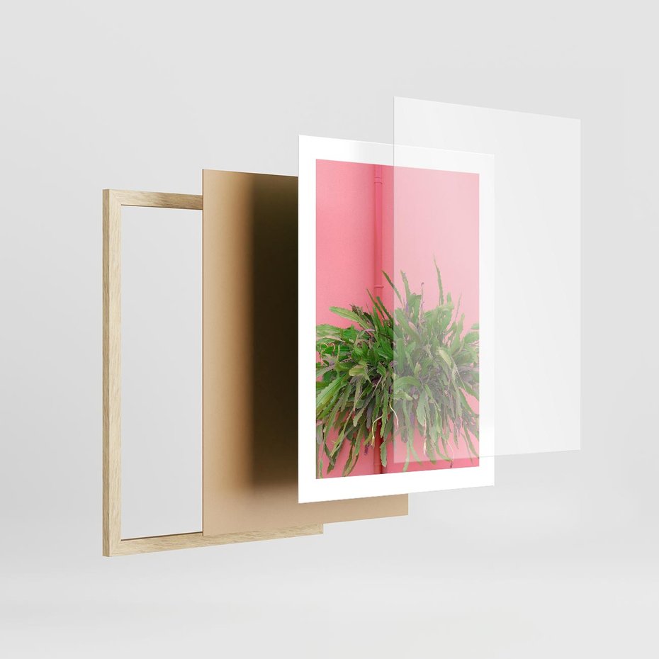 Plakat w ramie 30x40 - Fotografia Rośliny z Różowym Tłem - fotografia, zielona roślina na tle różwj ściany - rama drewno