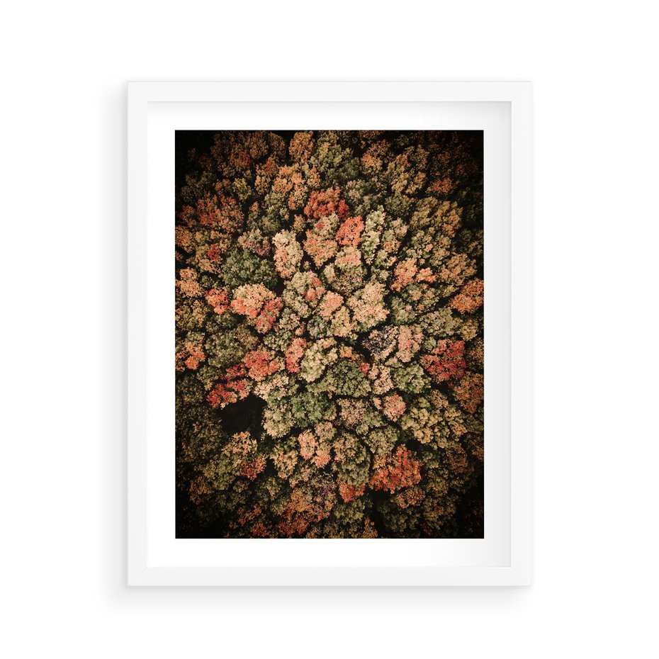 Plakat w ramie 40x50 - Jesień z Lotu Ptaka: Malowniczy Las - las jesienią z lotu ptaka - rama biała