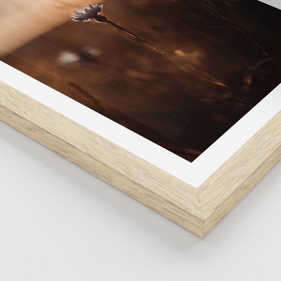 Plakat w ramie 40x50 - Spokój łąki pod zachodem słońca - zachód, słońca - rama drewno