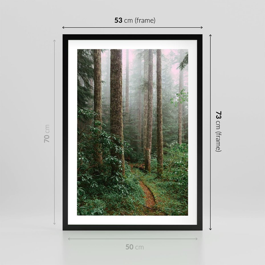 Plakat w ramie 50x70 - Mgliste Marzenia - artystyczna fotografia, las - rama czarna