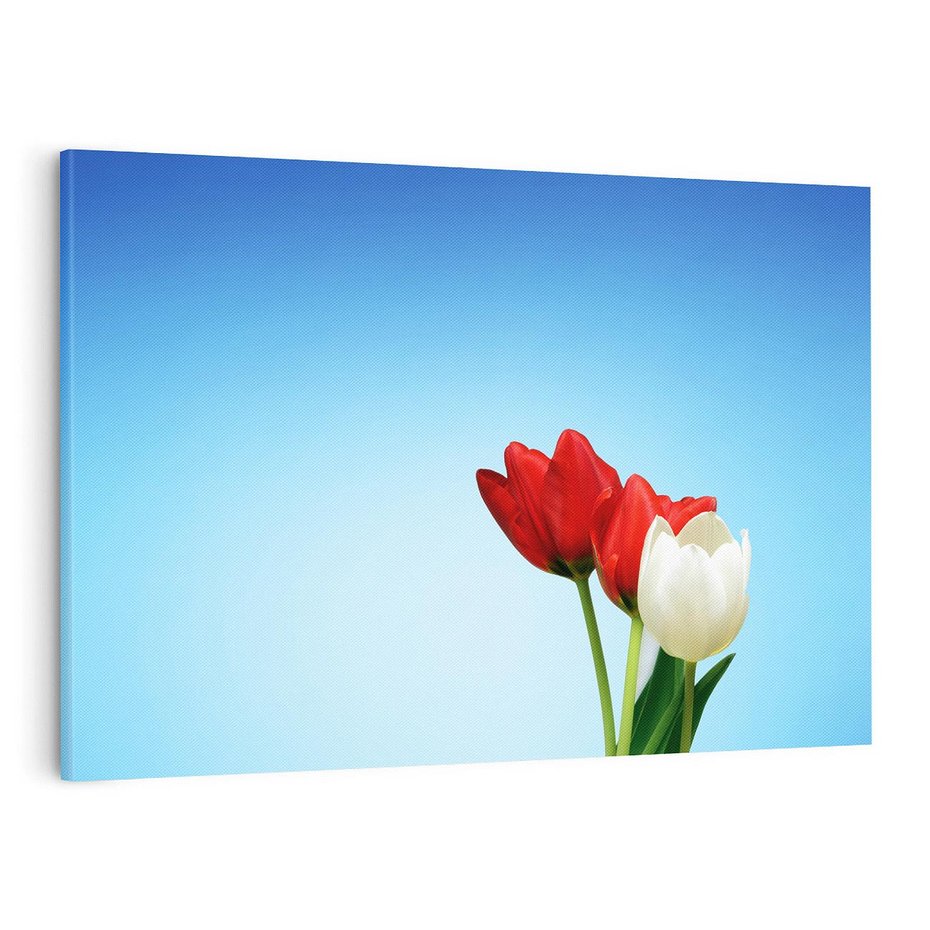 Obraz na płótnie 70x50 - Tulipanowy zachwyt - tulipany, kwiaty