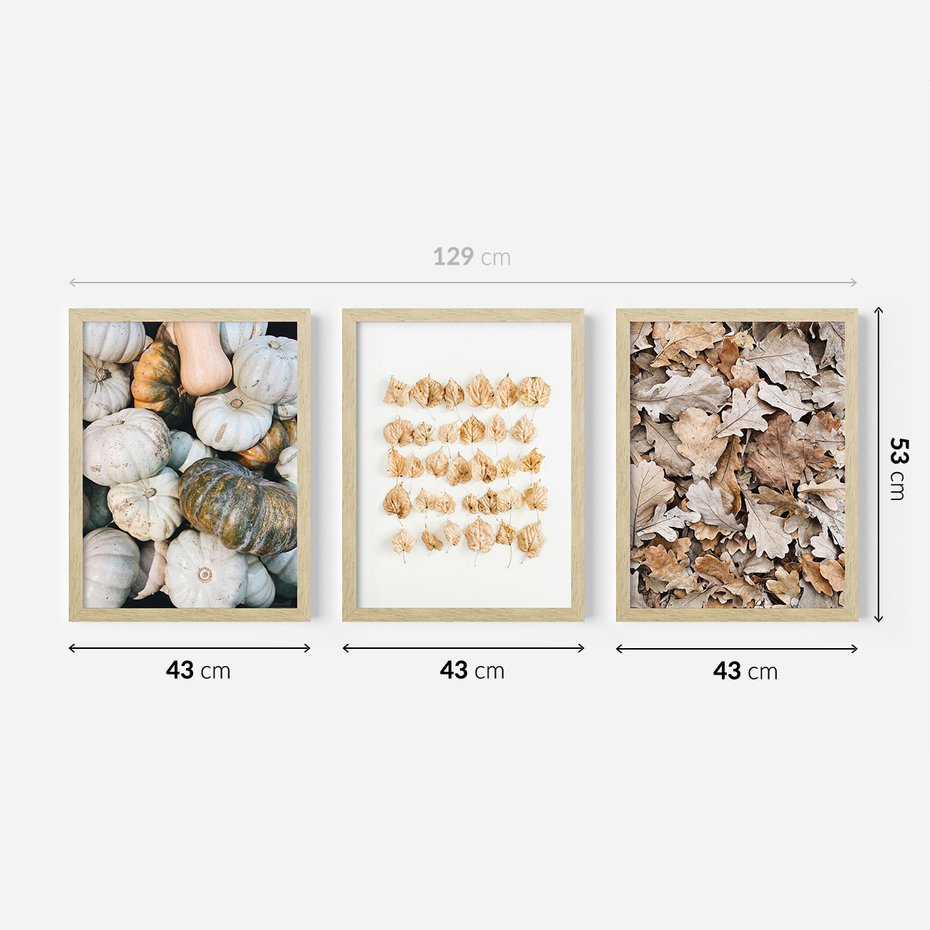 Zestaw obrazy w ramie 40x50 galeria - Jesień, liście, dynie, boho - rama drewno