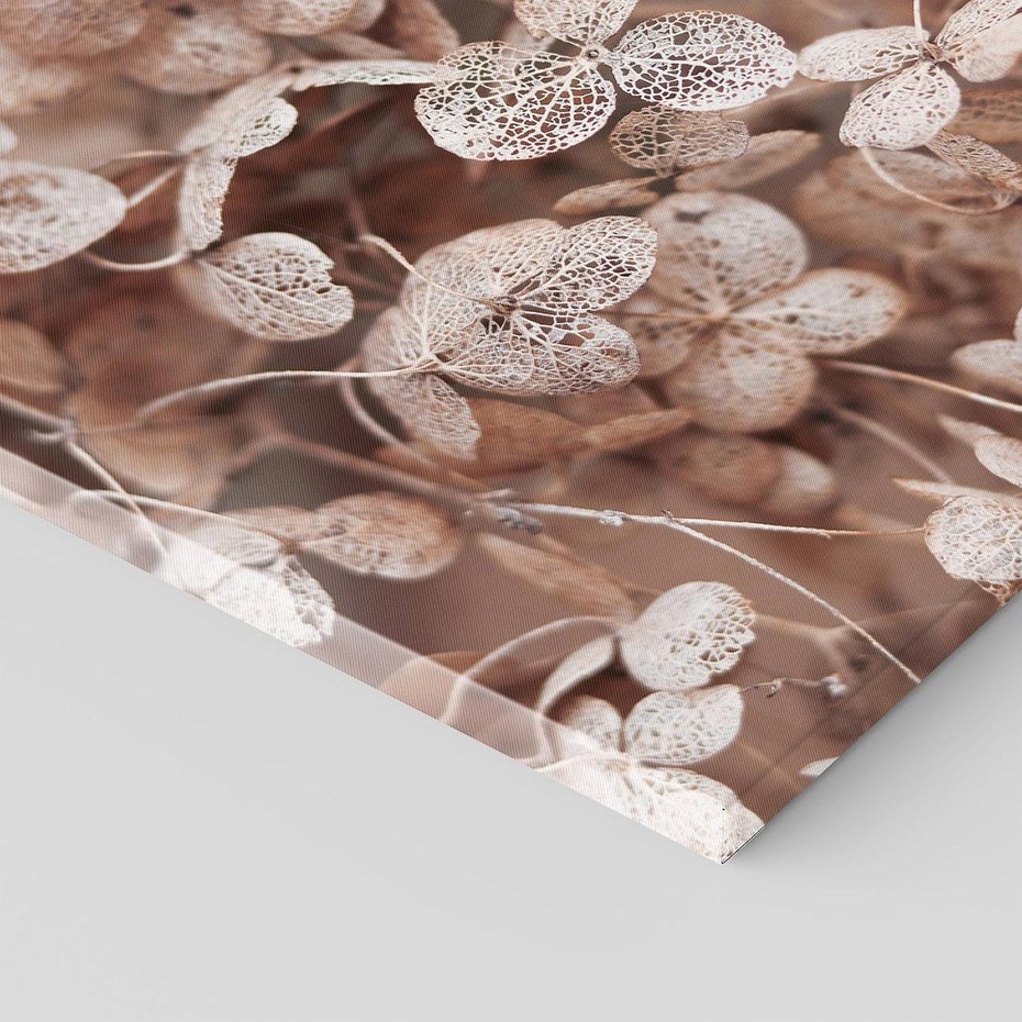 Obraz na płótnie 60x60 - Przemijająca Piękność - fotografia, zbliżenie